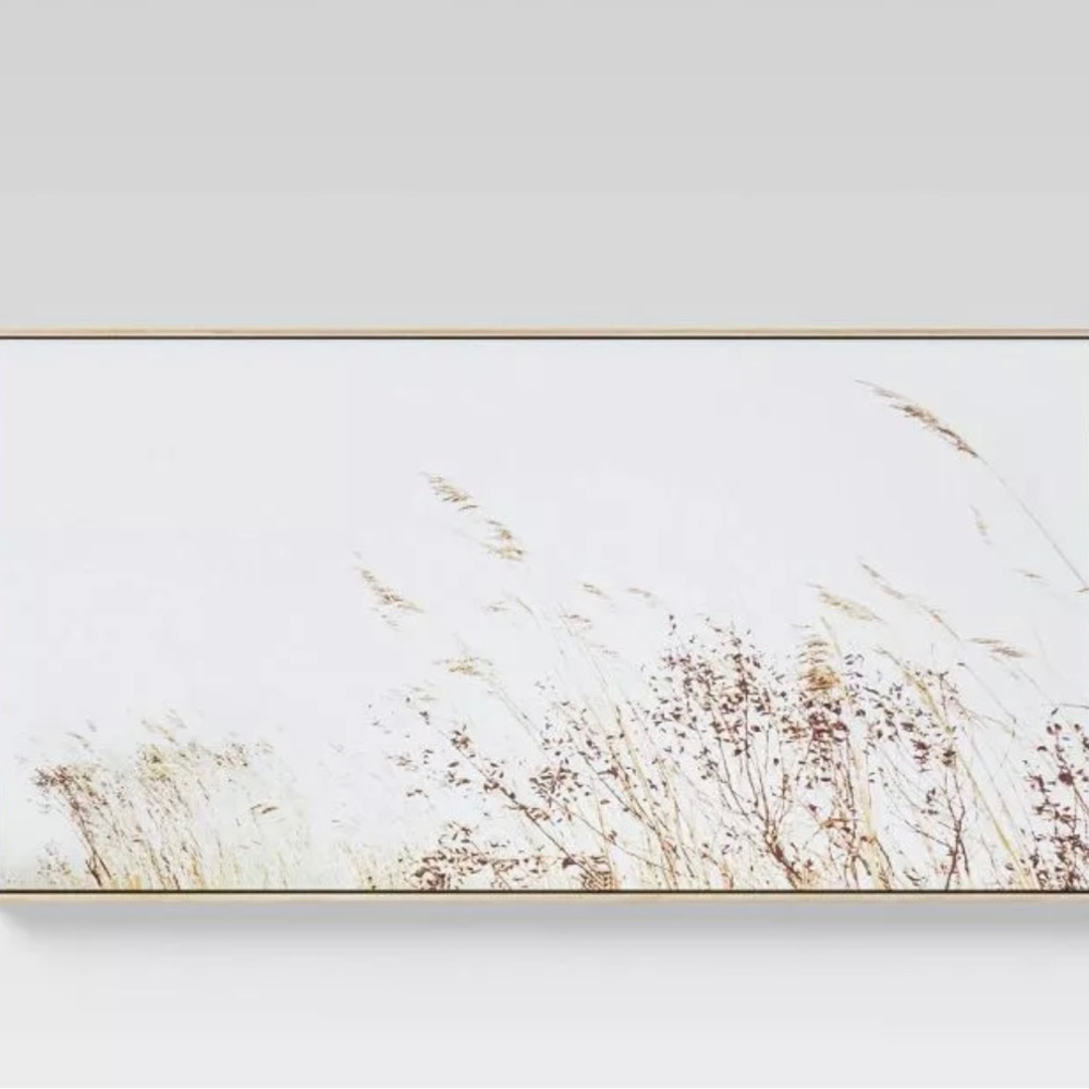 ISO these framed canvases from Target! Will buy ASAP!